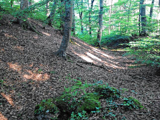 So sehen heute innerer Wall und Graben der historischen Wehranlage am Semberg aus. Bilder: Gerhard Schuhmacher