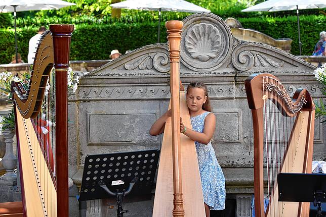 Bild 2: Donauquellfest in Donaueschingen: Pralle Sonne, gute Laune, Bierkultur.