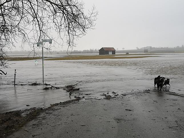 Hier geht‘s für Radfahrer nicht mehr weiter. Die Radwege der Riedbaar standen gestern zum Teil unter Wasser, auch einige Scheunen ...