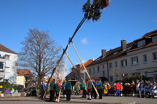 Bild 12: Radolfzeller Froschenzunft: So spektakulär wurde der Narrenbaum gestellt – alle Bilder!