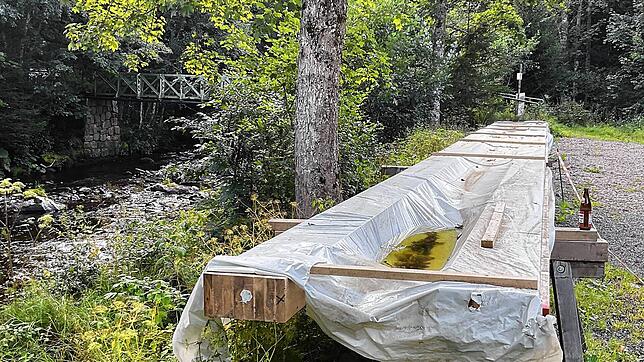 Mit diesem Bauholz wollte der städtische Bauhof eine Hilfskonstruktion errichten, um die Fußgängerbrücke über die Alb provisorisch ...