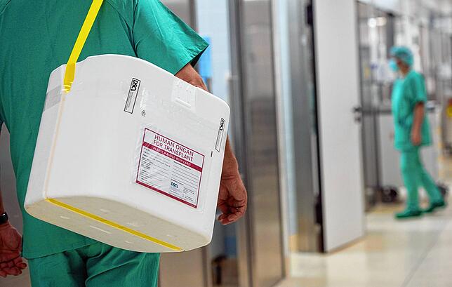 Ein Styropor-Behälter zum Transport von zur Transplantation vorgesehenen Organen wird am eines OP-Saales vorbei getragen.