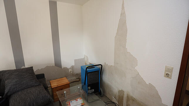 Hier sollte sich niemand aufhalten: Ein Wasserschaden habe in der 19 Quadratmeter großen Einzimmerwohnung für Schimmel gesorgt, sagt ...
