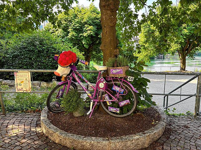 Auf Milka-Schokolade liegt der thematische Fokus eines Fahrrads, das auf der Codman-Anlage steht.