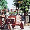 Ein waschechter Landwirt? Der fährt natürlich von klein auf Traktor. Zumindest bei Patrick Bossert war das so, wie dieses Bild aus ...