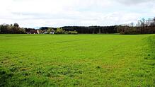 Landwirtschaftliche Flächen der Markung Schwandorf, Gewann „Genninger Wiesen“, sind mit 15,3 Hektar in der Planung für einen Solarpark ...