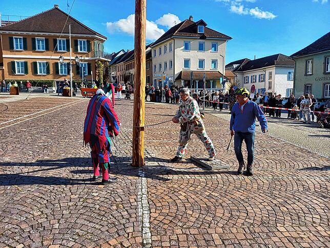 Bild 8: Ade Fasnet 2024! Bilder vom Markdorfer Narrenbaumfällen mit Umzug aus der Stadt