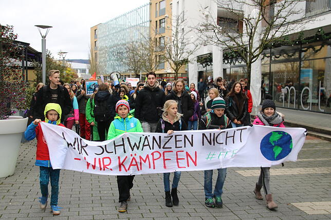 Bild 1: Fridays-for-Future geht in die nächste Runde: Bilder und Videos von der Demonstration in Radolfzell