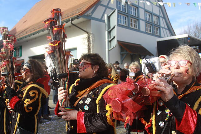 Bild 25: Bilder vom Narrentreffen zum 40. Jubiläum der Kuhsattler aus Hohenfels