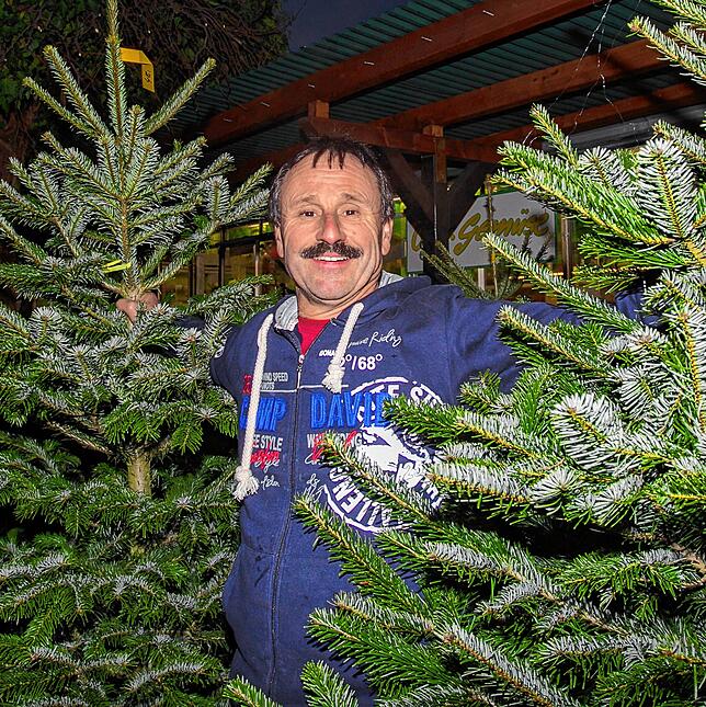 (Archivbild) Jürgen Banholzer verkauft in seinem Laden in der Schwaketenstraße Bäume aus Mahlspüren bei Stockach.
