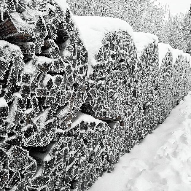 Wie ein abstraktes Muster wirken diese Holzstapel auf dem Schauinsland, die von Raureif malerisch überzogen sind.