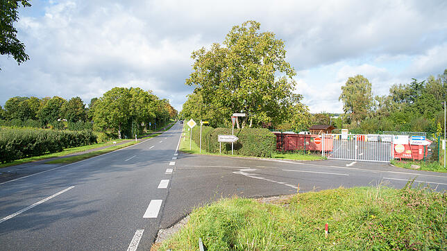 Statt eines Grünzugs möchte Immenstaad an der Straße nach Kippenhausen Fläche für öffentliche Infrastruktur oder Siedlungsentwicklung.