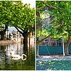 Die Radolfzeller Uferpromenade im Sommer 1999 (links) und im Sommer 2022. Verschwunden ist nicht nur das Hochwasser, sondern auch das ...