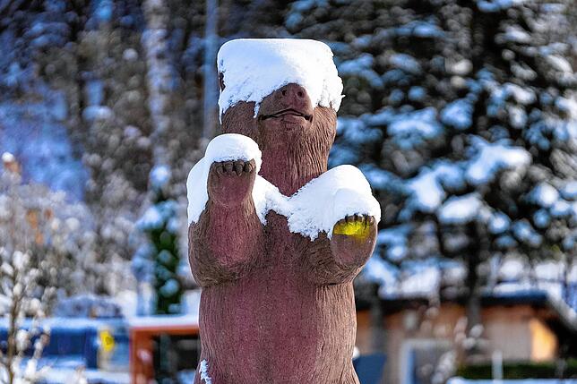 Bild 30: Wintereinbruch im Schwarzwald verschönert durch Schnee und Sonne