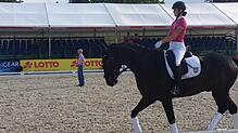 Bei der Dressur-Reitstunde mit Kerstin Holthaus bleiben die Reiter unter sich.