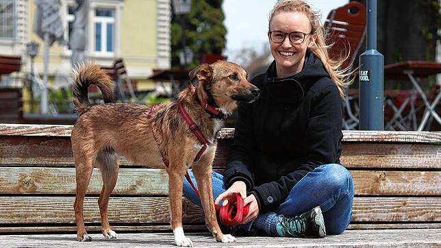 Lizanne Müller ist Hundesitterin in Konstanz. Skip, ein Mischling eines portugiesischen Straßenhunds und eines Schäferhunds, führt sie ...