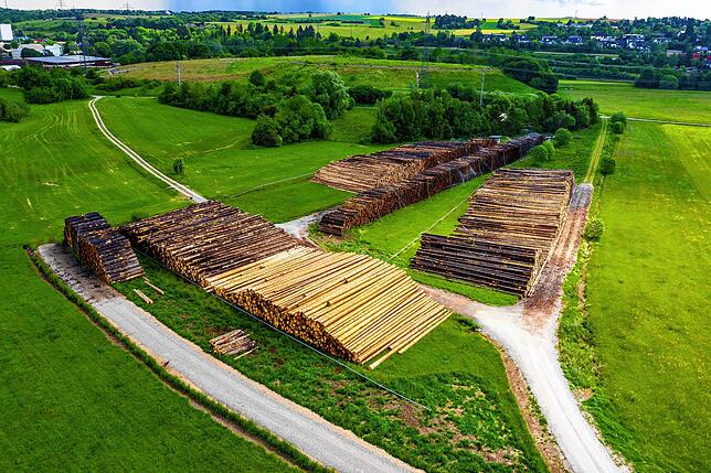 Zwei neue Wege wurden für das Nassholzlager angelegt, sie können jederzeit wieder aktiviert werden.