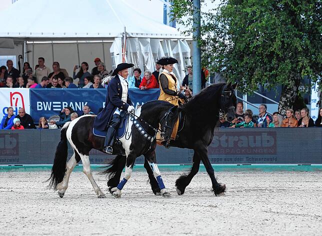 Bild 14: Tausende beim Showabend zur Eröffnung des Fest der Pferde 2024