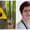 Achtung Zecken! Ute Mackenstedt warnt durchaus vor Gefahren &ndash; erklärt aber auch, warum Zecken virtuose Faulenzer sein können.