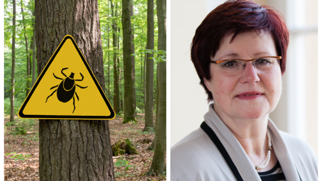 Achtung Zecken! Ute Mackenstedt warnt durchaus vor Gefahren &ndash; erklärt aber auch, warum Zecken virtuose Faulenzer sein können.