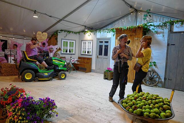 Bild 3: Bilder vom Dorffest in Limpach
