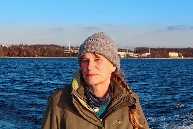 Die Kormorane vermehren sich am Bodensee und bringen die Fischbestände unter Druck.