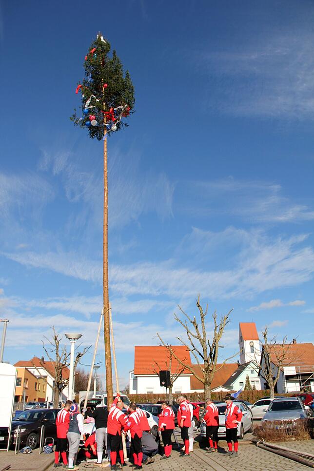 Riesig: 18 Meter hoch und gerüchteweise zusätzliche 20 Meter, die in den Boden ragen, ist der Narrenbaum in diesem Jahr. Die ...