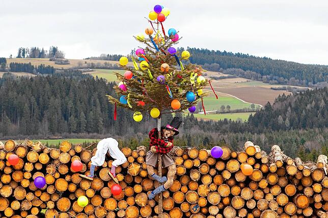 Die Gündelwanger lassen ihre Christbäume an Fasnacht wieder aufleben.