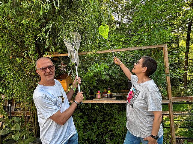 Ellen und Ralf Claaßen warten schon den ganzen Morgen darauf, ob die Asiatische Hornisse zurückkehrt. Rund um ihren Weidenbaum haben sie ...
