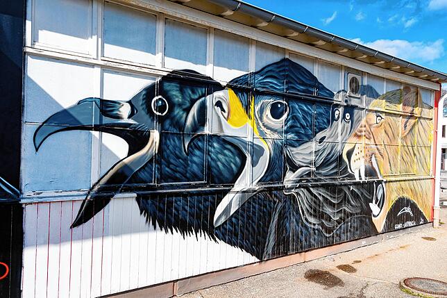 Graffiti-Kunst auf dem ehemaligen Saba-Areal in Villingen. Auch hier hat Torben Störmer gezeigt, was er mit der Spraydose alles ...