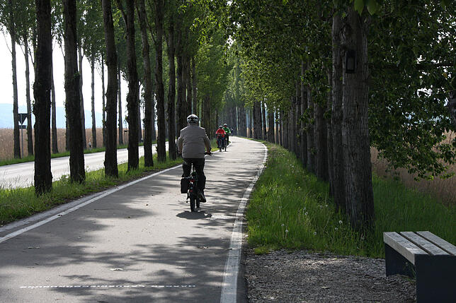 Der Radweg auf dem Damm zur Insel Reichenau wurde um 65 Zentimeter erhöht. Im Falle eines Hochwassers könnten dort Autos und Lastwagen ...