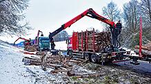 Die Baumstämme werden mit Greifarmen auf Ersatzfahrzeuge für Langholz geladen.