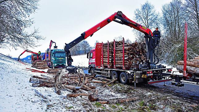 Die Baumstämme werden mit Greifarmen auf Ersatzfahrzeuge für Langholz geladen.