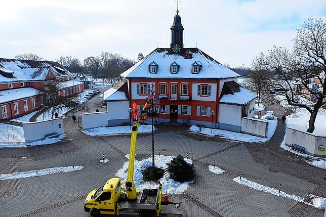 Acht Meter hoch thront der Narrenbaum jetzt auf dem Rathausplatz.