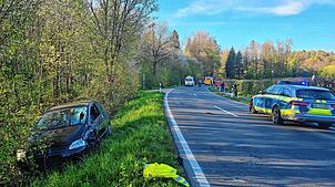 Das beteiligte Auto steht neben der Fahrbahn.