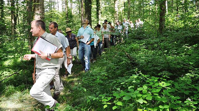 Bernhard Schirmer als Leiter des Forstbezirks hat bereits 2014 einen großen Waldtag in Rheinfelden mit dem Gemeinderat gemacht. 2020 ...