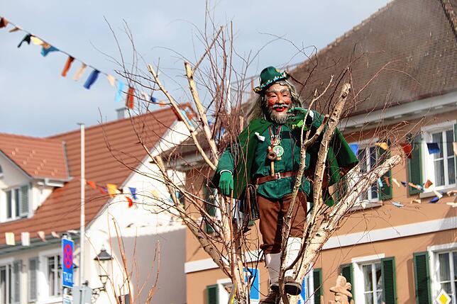 Bild 6: Bilder vom Fasnetssunntig-Umzug in Markdorf (Teil 1)