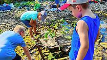 Alle Kinder sind mit Feuereifer bei der Sache und suchen Tiere im Wasser.