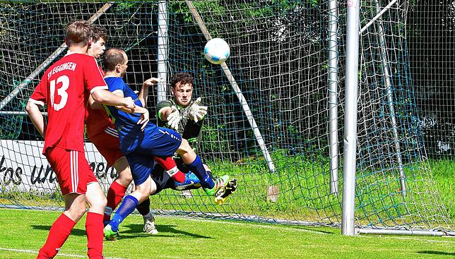 Bild 35: SV Albbruck besiegt den SV Eggingen mit 3:2 – und wir haben Fotos!