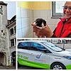 Drei Themen mit Diskussionspotential (von links): Das Sanierungsprogramm unter anderem an den Stadttoren, die Fundtierbetreuung und die ...