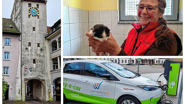 Drei Themen mit Diskussionspotential (von links): Das Sanierungsprogramm unter anderem an den Stadttoren, die Fundtierbetreuung und die ...