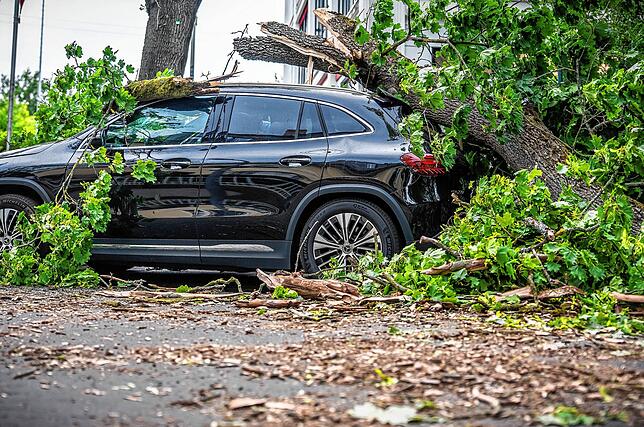 Ein vom Sturm abgebrochener Baum liegt am 23. Juni 2025 auf einem Auto im Westen Berlins. Ein Sturm hat zu zahlreichen Schäden in der ...