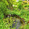 Ein lauschiges Plätzchen bei der Terrasse ist der Teich mit plätschernder Fontäne. Der Fischreiher ist allerdings nicht echt &ndash; und ...