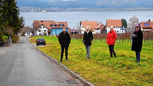 Vier der Anwohner, die gegen die Pläne für 79 Parkplätze am Königsweingarten sind (von links): Philip Ganter, Katrin Ganter, Veronika ...