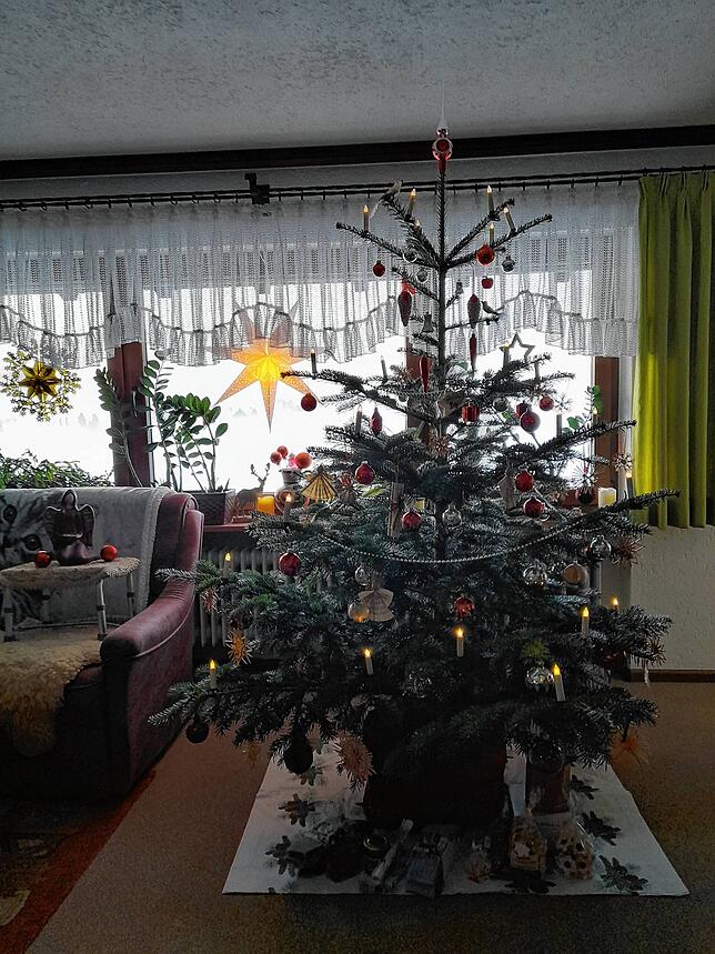 Der Weihnachtsbaum von Waltraud Schneider am Fußes des Schellenbergs in Herrischried.