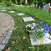 Um solche Blumentöpfchen auf diesem Urnengräberfeld auf dem Waldfriedhof gab es jetzt Ärger.