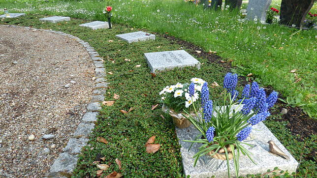 Um solche Blumentöpfchen auf diesem Urnengräberfeld auf dem Waldfriedhof gab es jetzt Ärger.