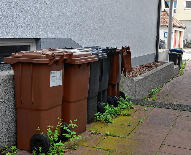 Die Mülleinmer beim Ochsenplatz sollen einen weniger einsehbaren Standort finden.