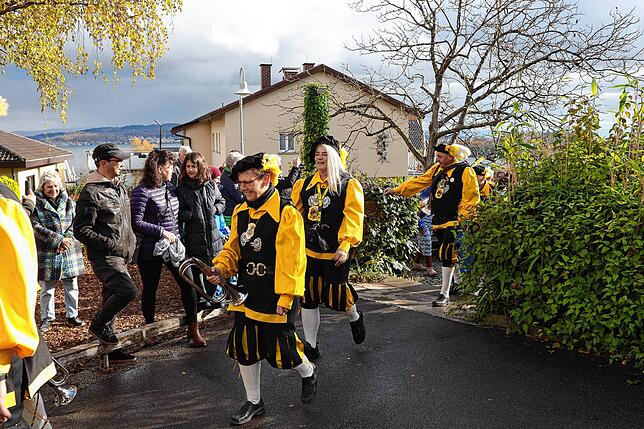 Bild 7: 11.11 in Litzelstetten &ndash; Der Kuckuck ist frei! Wir waren dabei, hier gibt&lsquo;s die Bilder