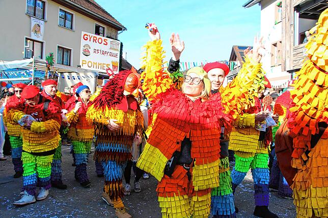 Bild 14: Kleggau-Narrentreffen: Tausende Narren begeistert vom Umzug - Bilder